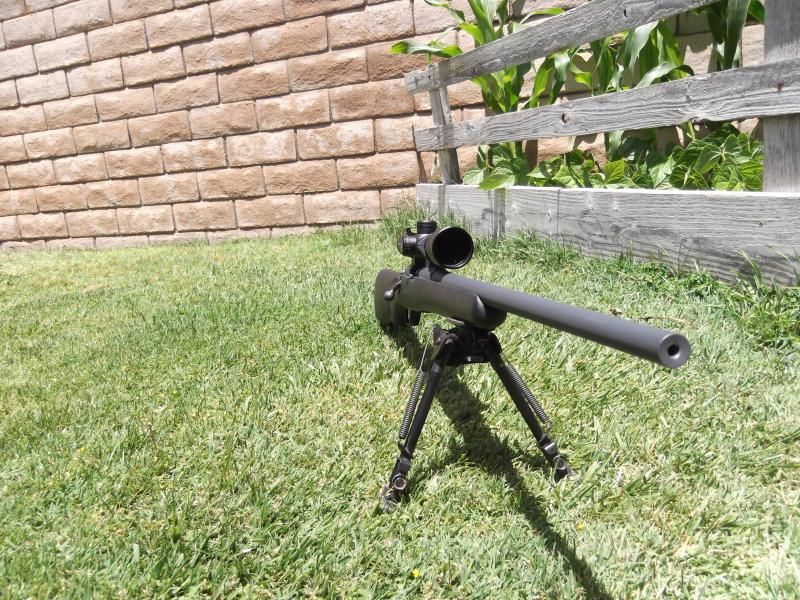 need pictures of Light Varmint criterion barrel please